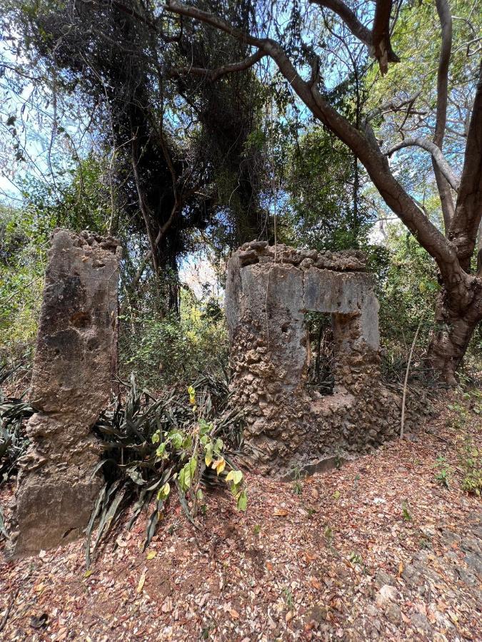 Chole Foxes Lodge Dış mekan fotoğraf